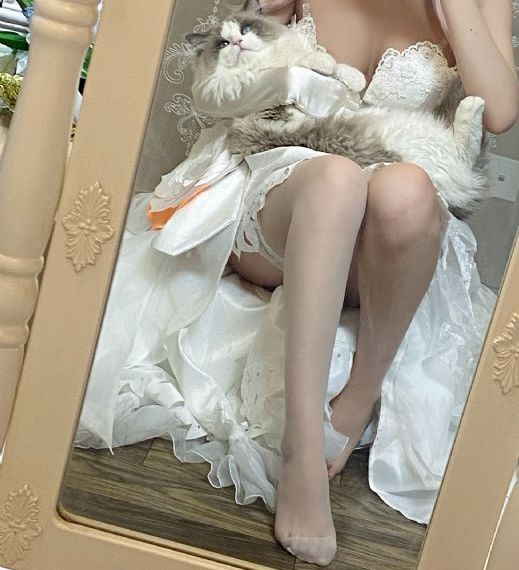 我怀了你的孩子