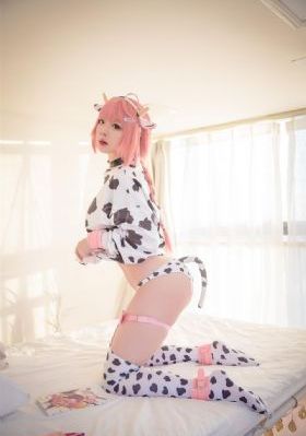 狐狸的第二季免费播放